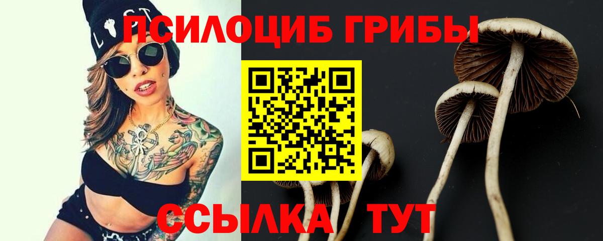 купить наркотики цена  Галлюциногенные грибы ЛСД  Сосновоборск  Вход с VPN  Псилоцибиновые грибы Cubensis 